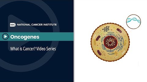 Oncogenes: What is Cancer? Video Series