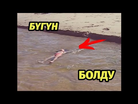 Video: Мышыкты жана үй-бүлөнү кутурма оорусунан сактаңыз - Daily Vet