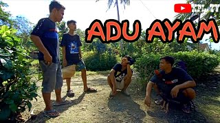 Download Lagu Komedi ngapak cilacap[]ADU AYAM#KPL TV MP3