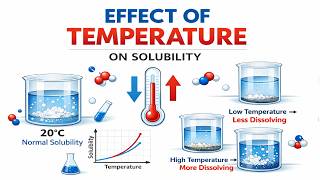 Effect of Temperature on Solubility | Solubility Explained with Examples | Chemistry Lecture