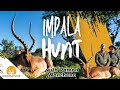 Damon hunts a wide Impala ram as his first African trophy | Eastern Cape hunt at Doornrivier Safaris