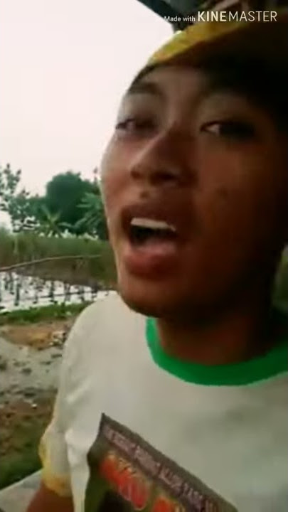 story WA kerenn 'budal ngarit'
