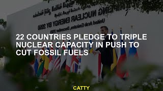 22 Countries Pledge to Triple Nuclear Capacity in Push to Cut Fossil Fuels