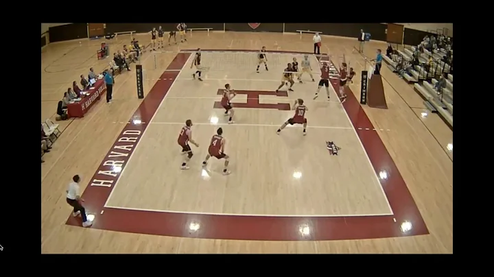 Sanjae Jodie Holloway 2017 Coker highlights