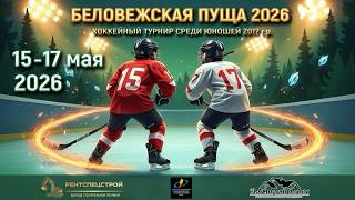 16.05.2026. БП. 2017. ПС. Ястребы-2 - Брест-2