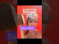 So verlierst Du garantiert kein Bauchfett - mach’s besser so : #bauchfett #wechseljahre