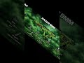 UPDATED ABSOLUTE Meta WARZONE SEASON 2 RELOADED#warzone #gaming #mw2 #warzoneloadout