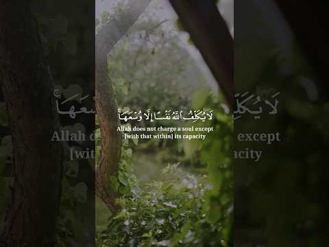 لا يكلف الله نفسا إلا وسعها لها ما كسبت وعليها ما اكتسبت احمد العجمي