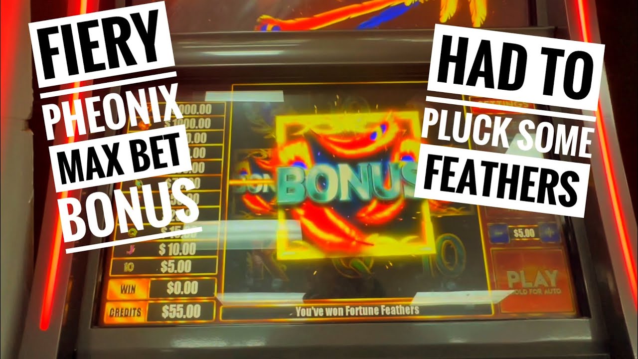 Live play Fiery Phoenix! Max bet bonus! Thunder chicken kicked my