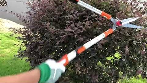 Kéo cắt cỏ sân vườn, kéo tỉa hàng rào C18 | Dụng cụ cắt cành