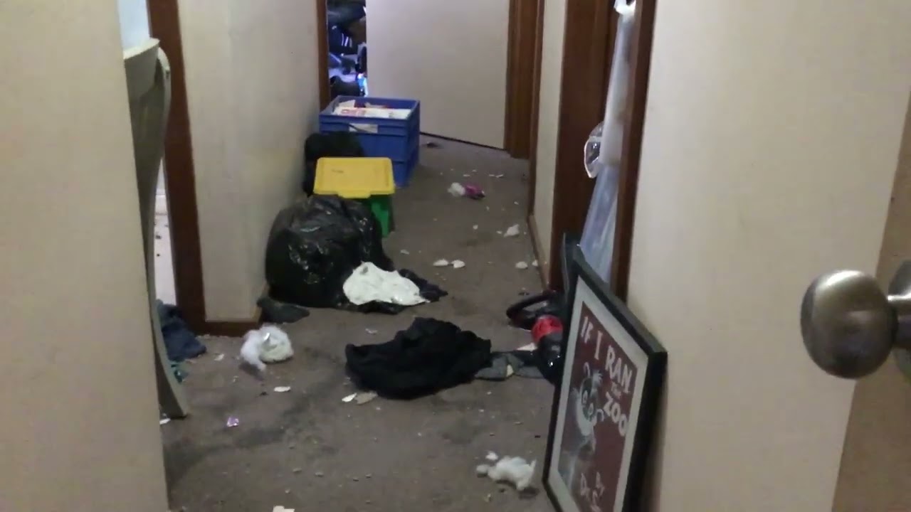 Day  2 30 day challenge come clean with me for 30 days