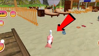 Talking 🐔 Flying 🕊️ Birds -Real talking Seagull Bird Android game play Walkthrough #37 screenshot 4