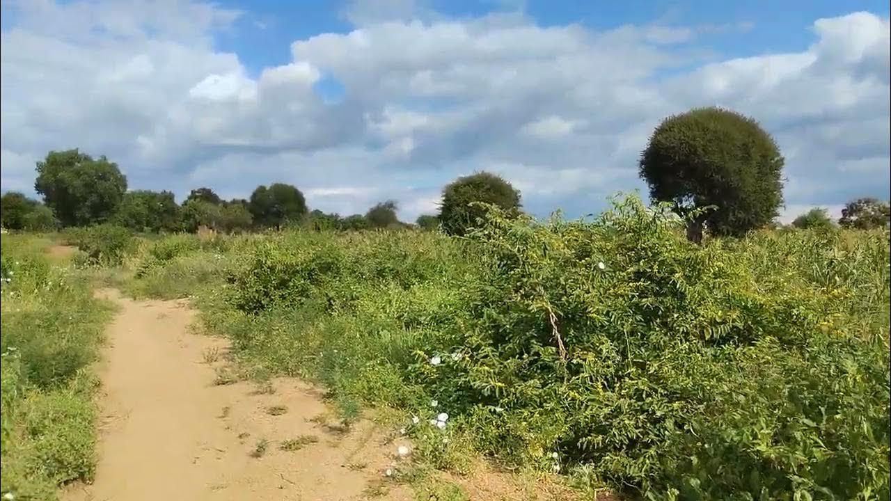 10 Acres of Land for Sale at Mutomo, Kitui YouTube