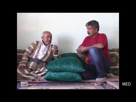   محمود حسي