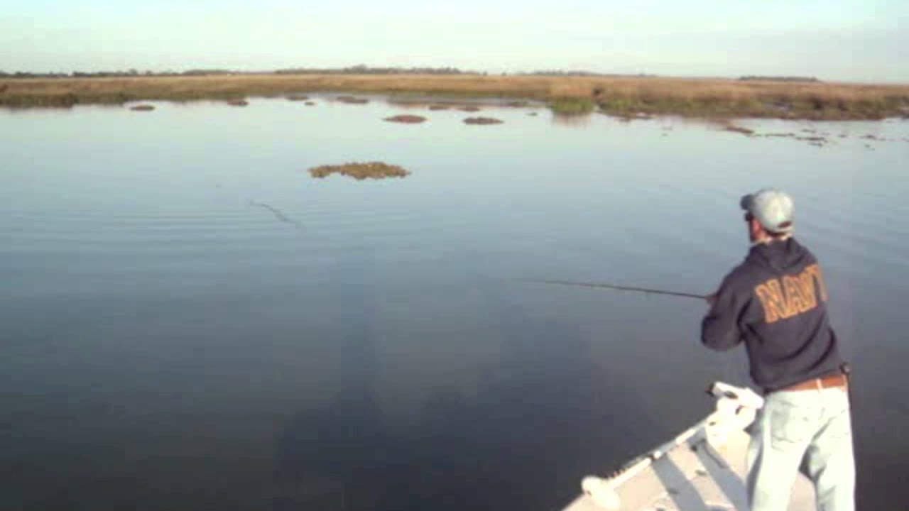 Redfish - Coastal Georgia Fishing Guide