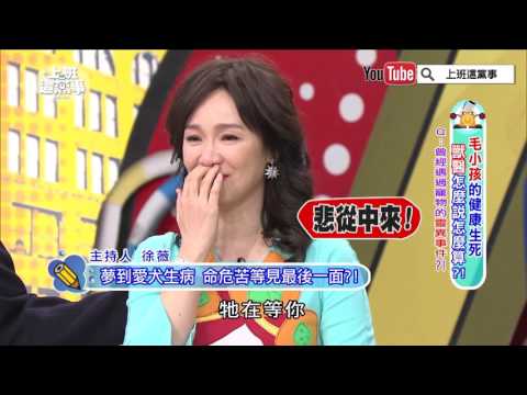 愛犬命危! 苦等徐薇見最後一面 【上班這黨事-精華片段】