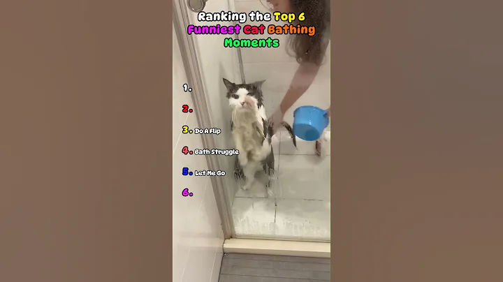 Video 11834071: cat bath fail, adorable cat bath, funniest cat bath, cats funny fail