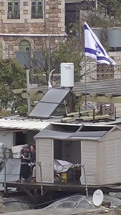           
 - نشر قبل 11 دقيقة