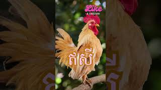 រៀនអានពាក្យ &#39;ឥសី&#39; និងបញ្ចេញសម្លេងត្រឹមត្រូវ | រៀនអក្សរខ្មែរ