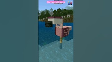 Flamingo In Minecraft #shorts #minecraft