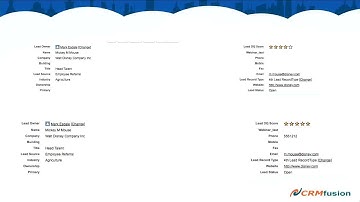 Developing a Data Quality Process CRMfusion