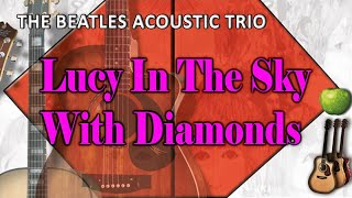 Lucy In The Sky With Diamonds - The Beatles Acoustic Trio Tribute Band