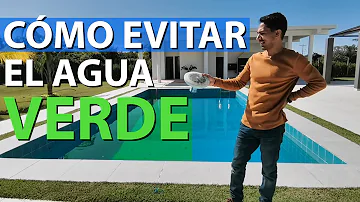 ¿Qué hace que una piscina se vuelva verde de la noche a la mañana?