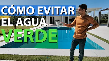 ¿Se puede nadar en una piscina ligeramente verde?