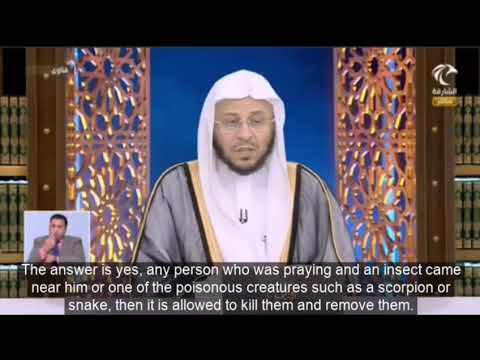 هل يجوز طرد أو قتل الحشرة إذا تعرضت للمصلي أثناء صلاته؟ | الشيخ عزيز بن فرحان