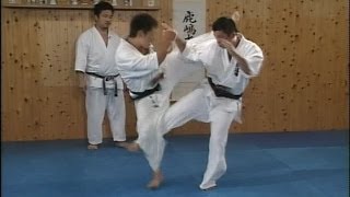 ПРИЁМЫ КАРАТЕ. ОБУЧЕНИЕ. (KARATE)(Всё, что у меня есть и до сих пор нет на youtube отдаю в свободное плавание. Эти видео собрались у меня за несколь..., 2013-12-09T05:56:12.000Z)