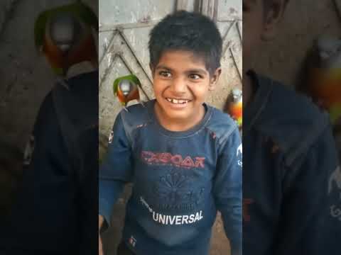 #comedy