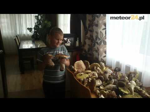Agroturystyka U Magdy