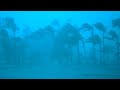 12 Hours inside a Category 5 Hurricane-Rain & Thunder Sounds for Sleep-Lock the Door & Go Sleep-ASMR