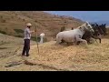 يا حسرة على أيام زمان 