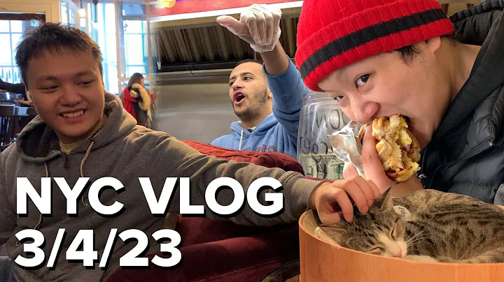 Killing Time in NYC...THE OCKY WAY! Brooklyn Cat Cafe, Trying Egg Cream (3/4/23 Vlog)