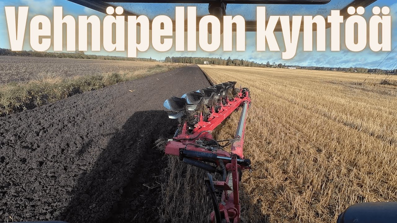 Vehnäpellon kyntöä