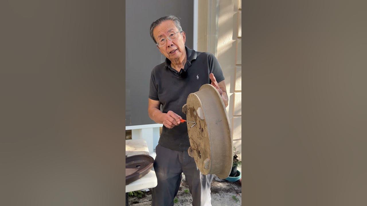 Comparing a GOOD vs. BAD Bonsai Pot bonsai bonsaitree gardening 