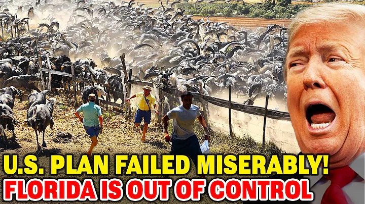 Footage of 5 Invasive Species in Florida Reveals the Aftermath Nobody Expected