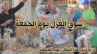 سوق الغزل لبيع الحيوانات في بغداد يوم الجمعة 2023/7/28