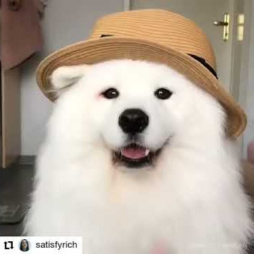 Nur Aini Safitri