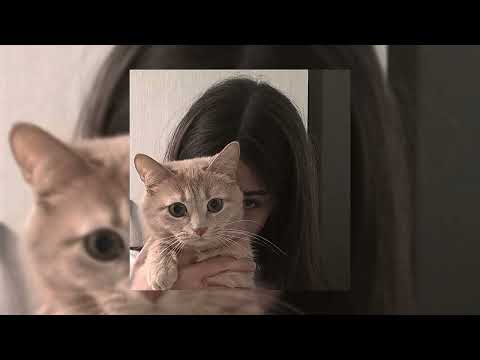 الصبر جميل Speed Up مسرعه 