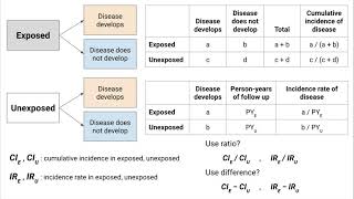 Cohort Studies