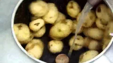 máy rửa chà vỏ khoai tây, khoai lang, cà rốt, củ cải, máy rửa chà bỏ củ khoai môn TP 350