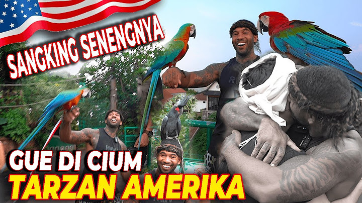 INI YANG BIKIN THE REAL TARZAN AMERIKA 🇺🇸 GIRANG BANGET