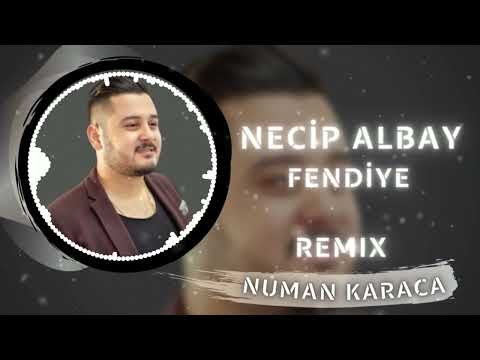 Necip Albay - Fendiye (Numan Karaca Remix)