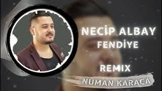 Necip Albay - Fendiye (Numan Karaca Remix)