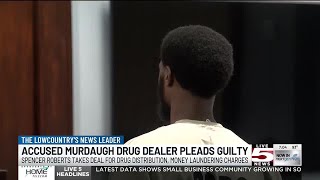 VIDEO: Man identified as Murdaugh drug dealer sentenced after guilty pleas