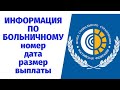 Как узнать размер выплат по больничному листу, сроки и номер больничного.