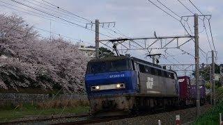 貨物列車1090レと 満開の桜 2014.04.01
