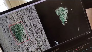 Detection and segmentation of tomato plants in real-time using computer vision with deep learning.